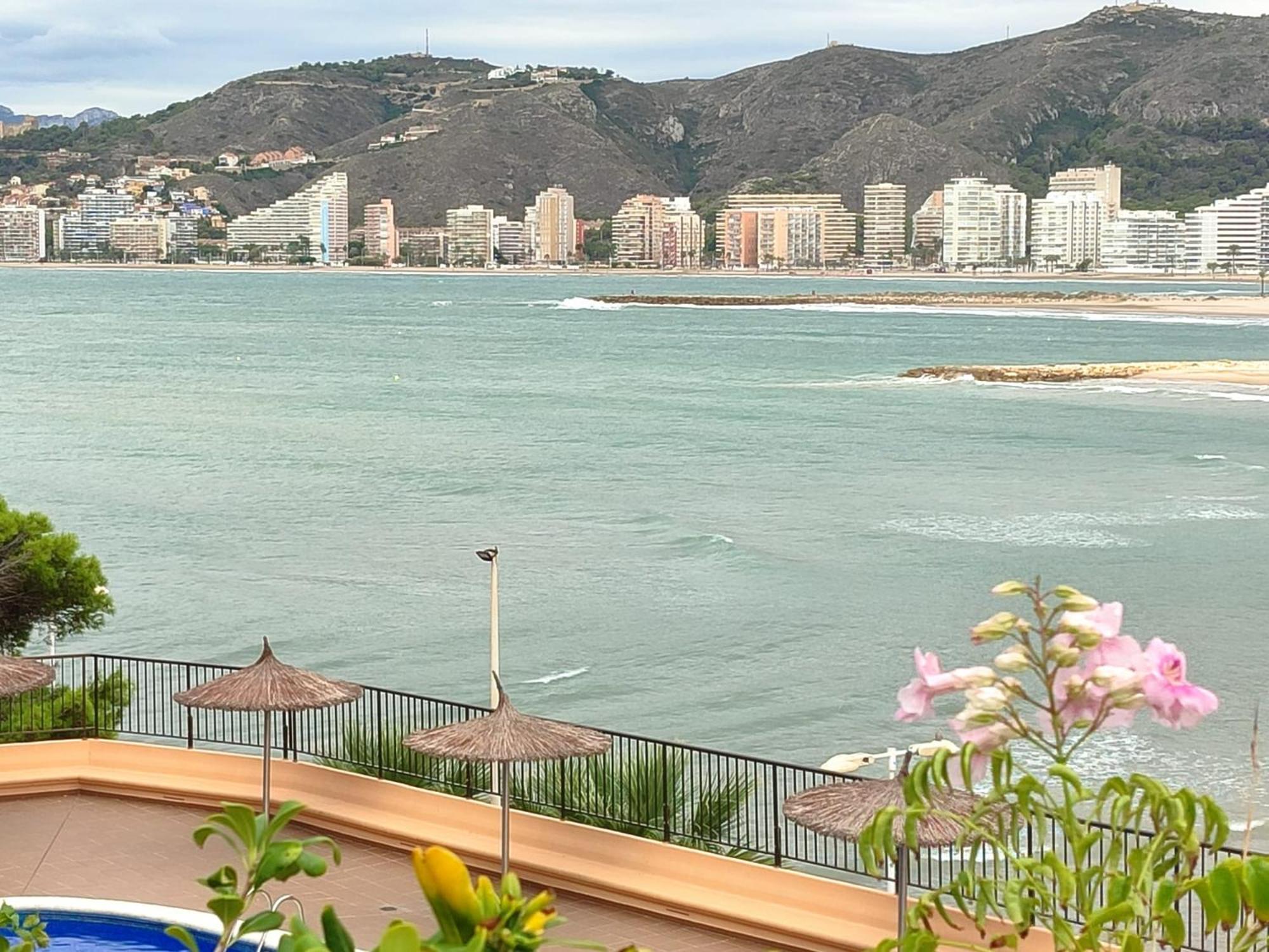 Seaviews Olivos *