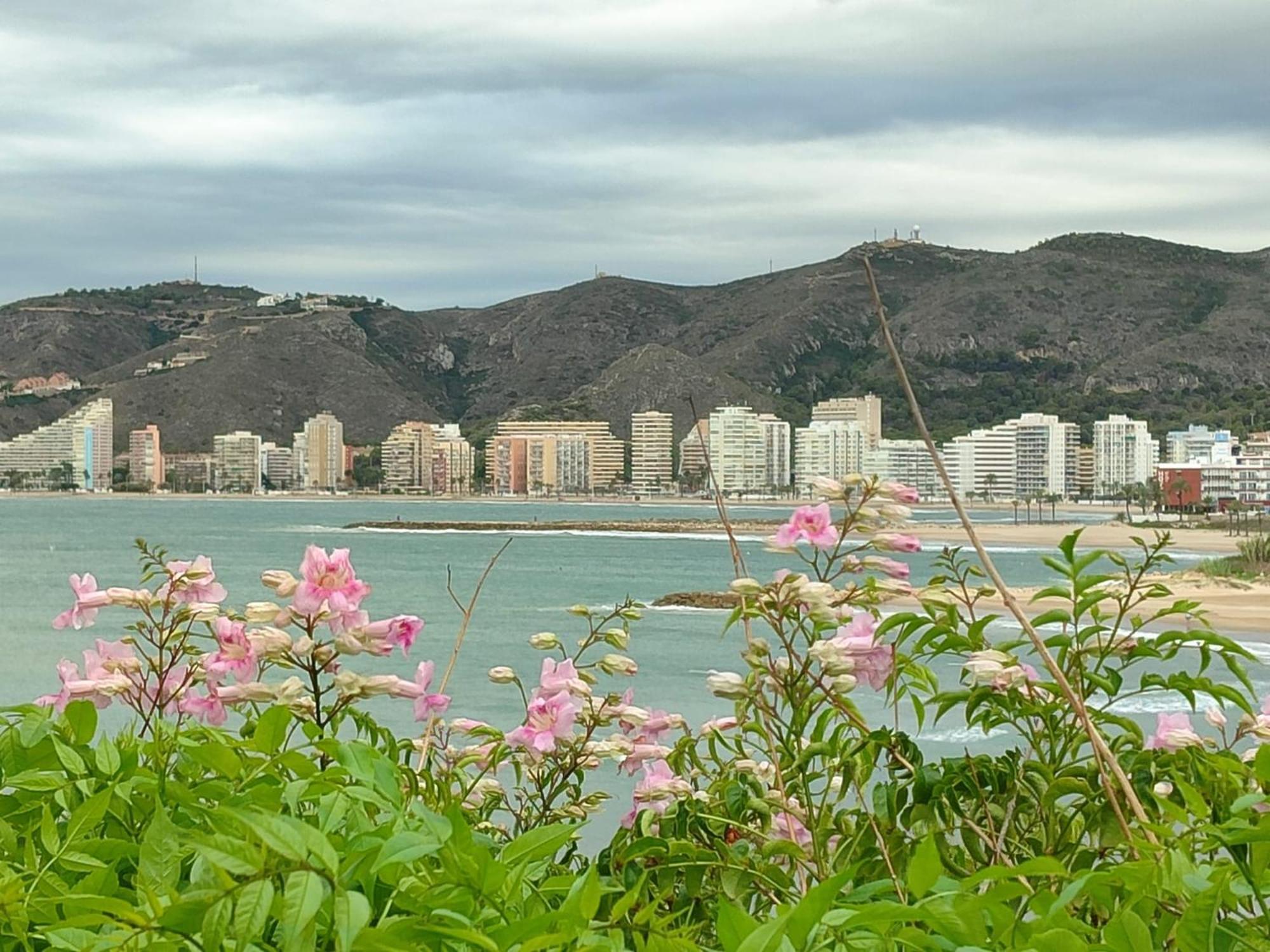 Seaviews Olivos *